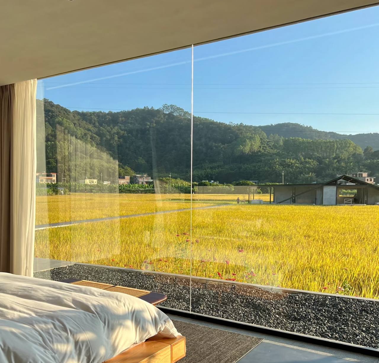 廣州民宿推介2026｜特色住宿大排行（森林系／設計感／泡湯房）人均$300起