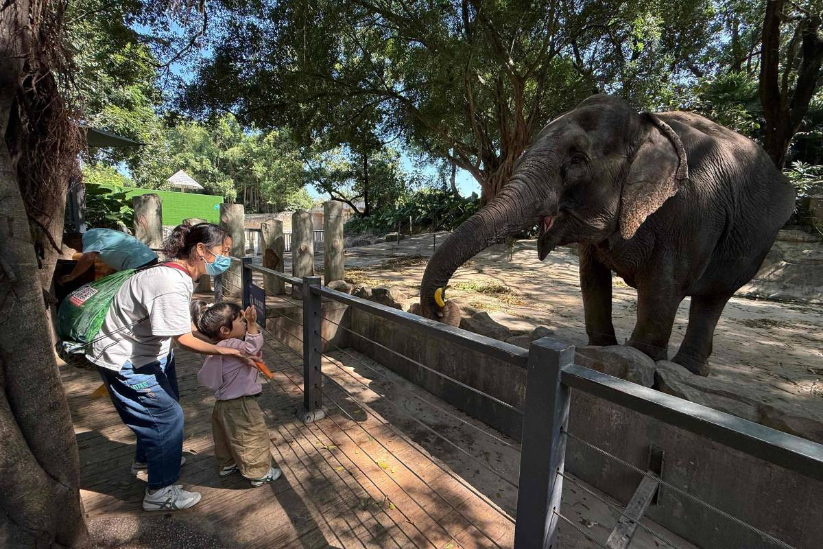 深圳野生動物園門票優惠攻略︱2026港人親子交通地圖路線・附近商場建議