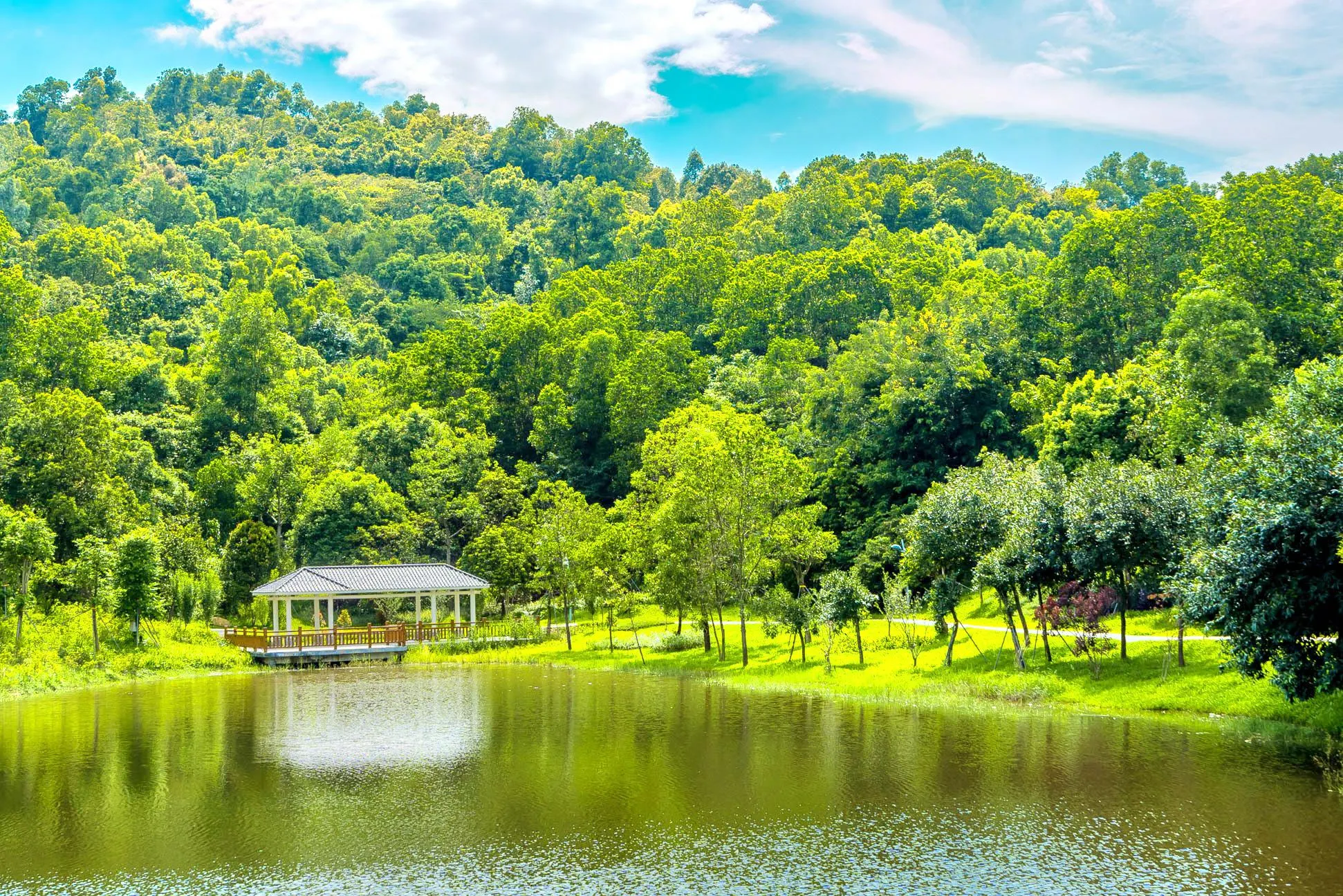 深圳龍崗大運天地2026｜美食・酒店・地鐵交通・親子遊/演唱會攻略